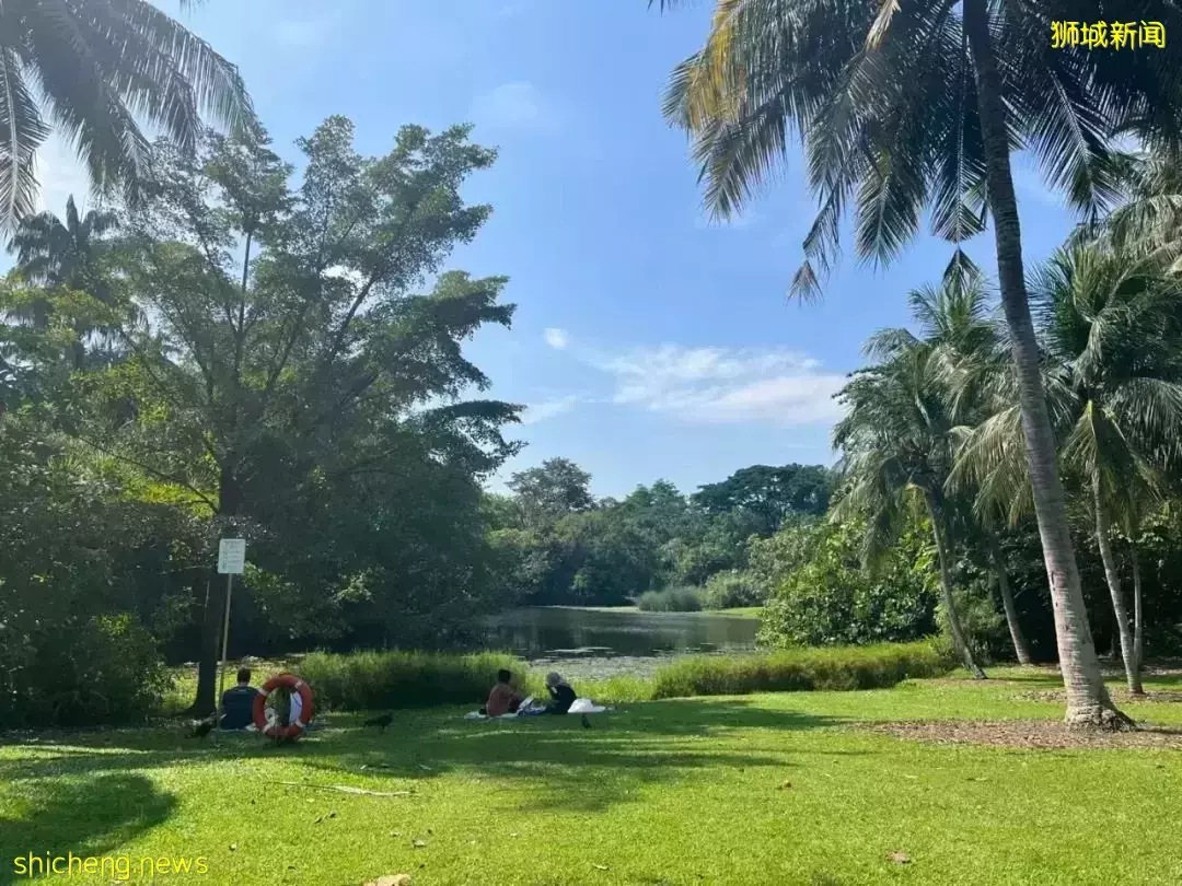 学生假期限时免费!超过5000+品种,带娃去看新加坡的国花