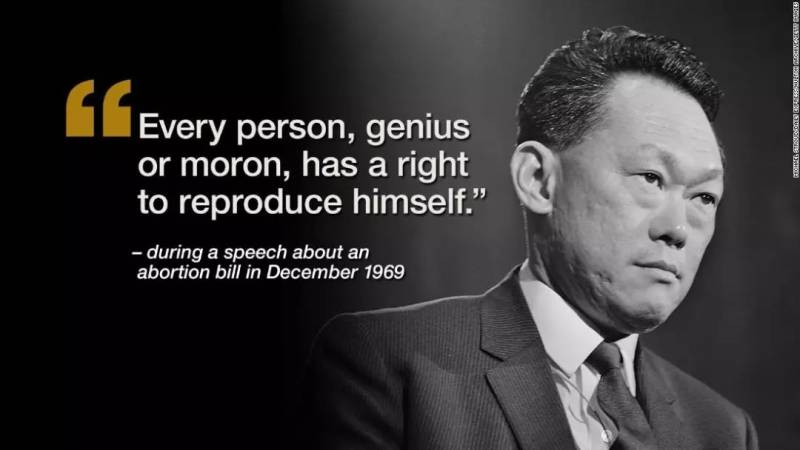 新加坡简史：小国的挣扎与彷徨