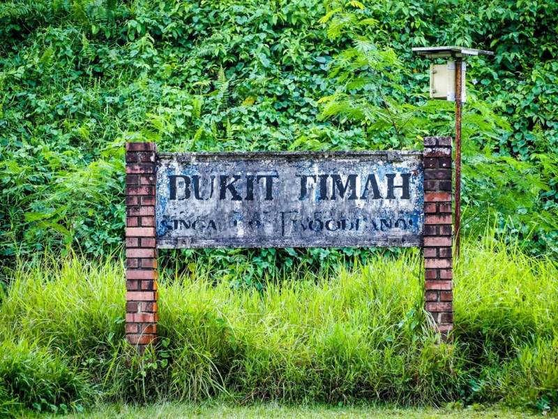 每一張都是 Ins 大片！這樣的新加坡你見過嗎