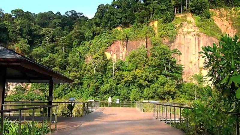 了解新加坡生物多样性，就来华莱士展览中心