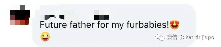 警方冒着生命危险,爬上屋顶救下猫咪