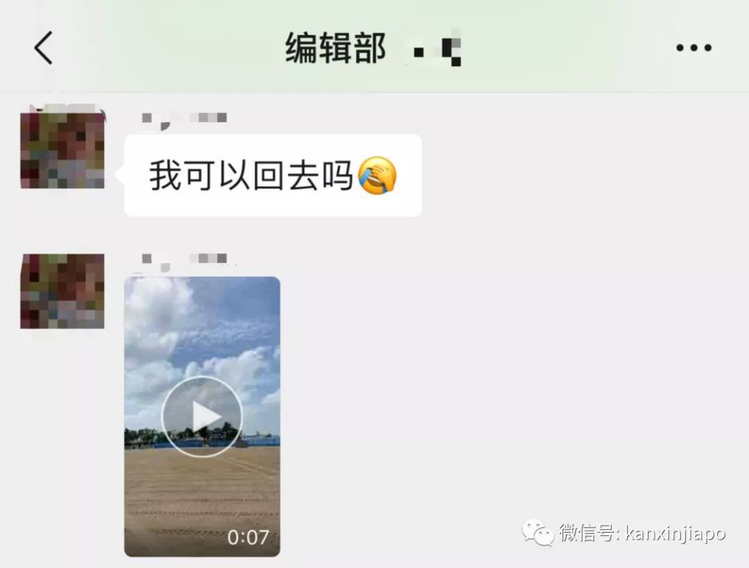 绝笔！新加坡眼编辑部要被一个实习生团灭了！