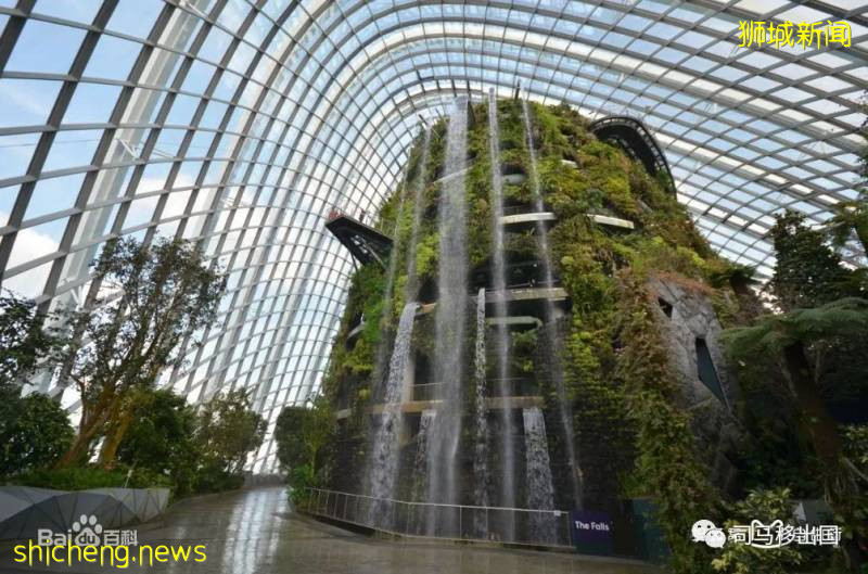 新加坡“花園中的城市”，看看這些巨樹參天的新奇景觀!