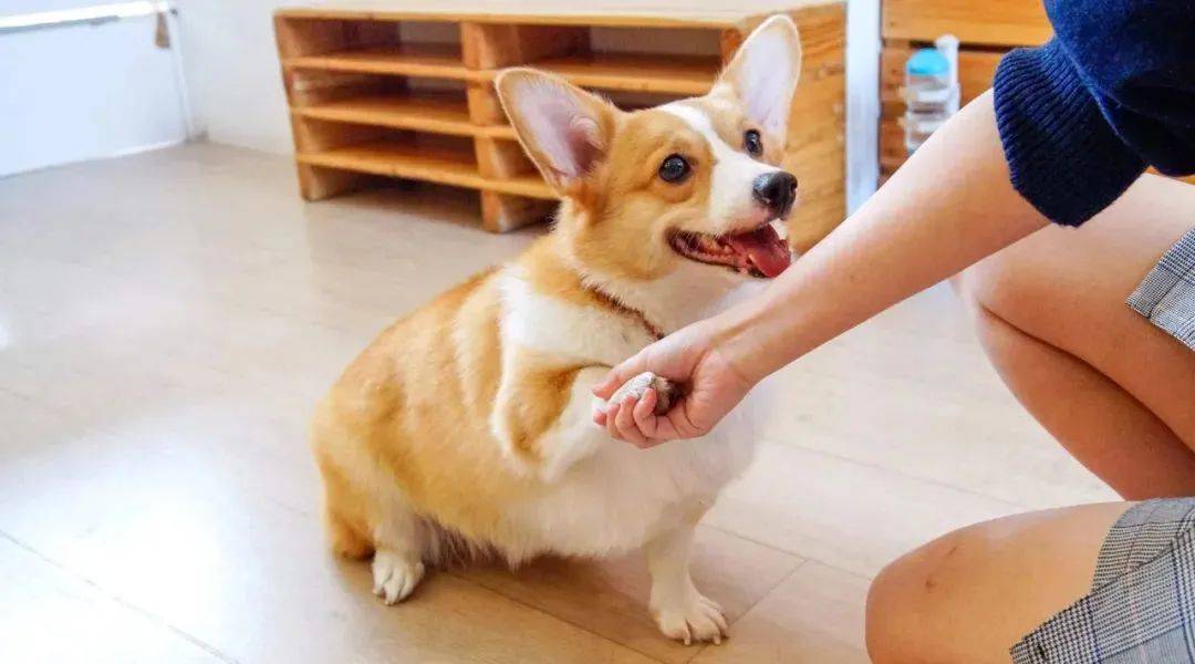 新加坡31個孩子超愛的假期活動+遊玩攻略，1分不花也能玩