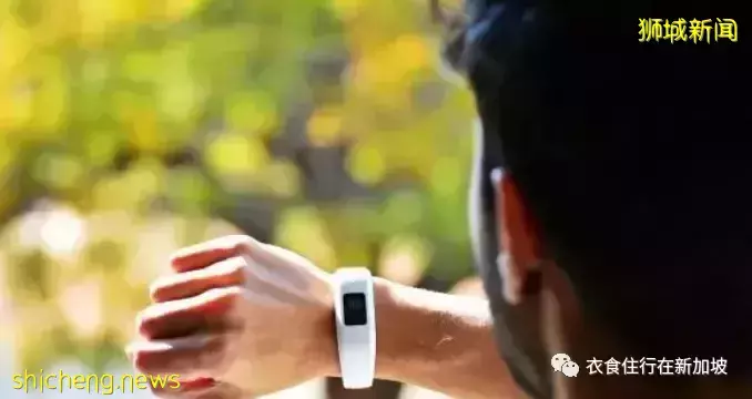 3年350人失联,揭秘不为人知的B面新加坡