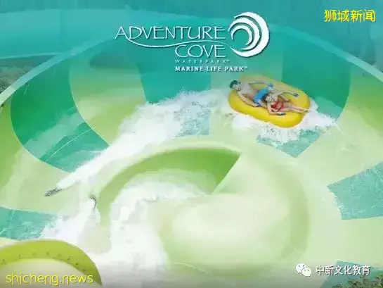 新加坡旅遊,9大網紅打卡地