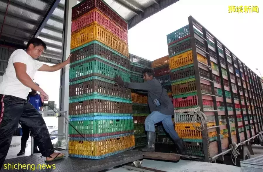 新加坡贸工部：食品供应中断问题料持续数月