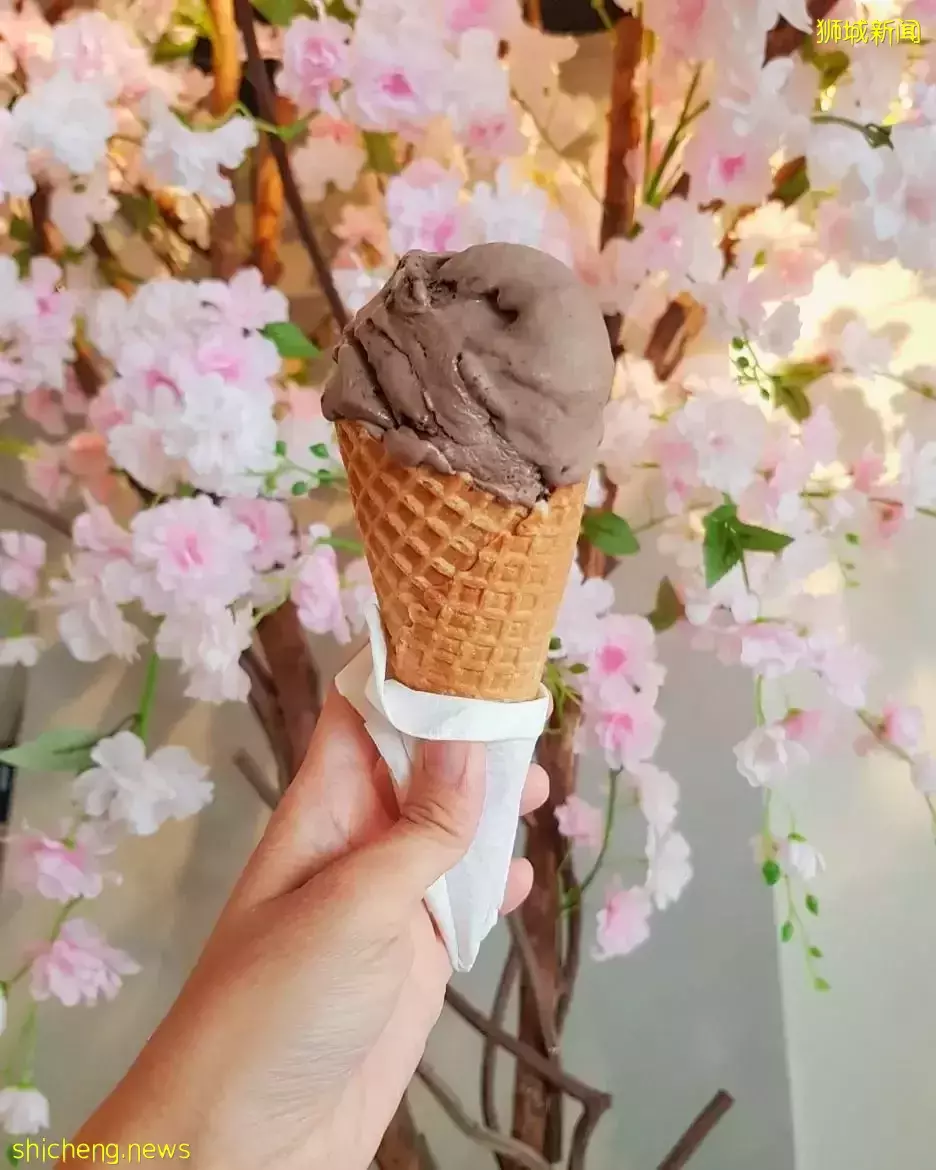 轉角遇到愛🍦新加坡小而美的精致鄰裏冰激淩店大盤點