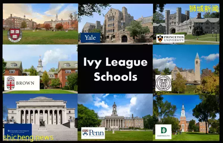 史上最強攻略!在新加坡如何選學校?國際學校vs政府學校,哪個好