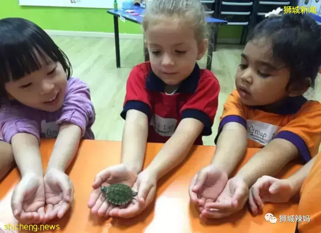 新加坡适合0至3岁孩子的22个兴趣班,游泳、音乐、体操、演讲