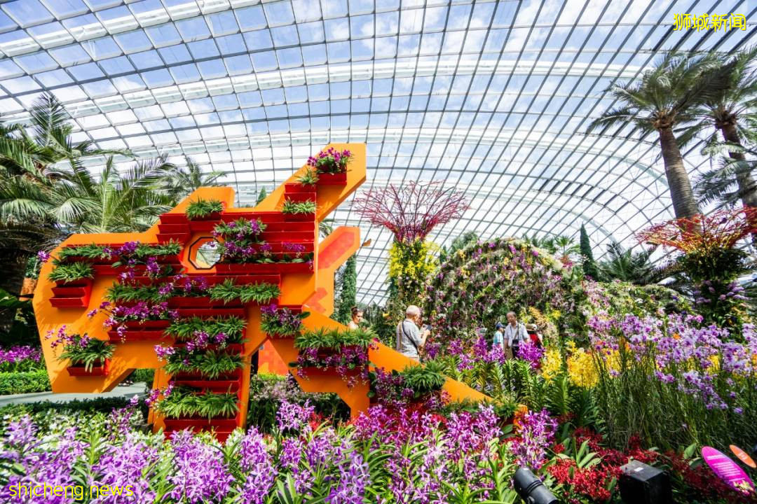 新加坡旅遊局 x ABC Cooking Studio 對這座花園城市狠狠“新”動了