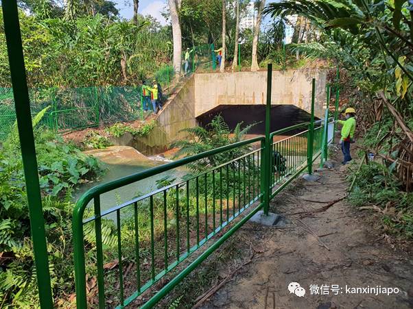 新加坡网红“瀑布”装上围栏,自然公园不再“自然”
