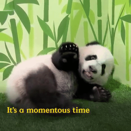 爲了遊客新加坡拼了！要建滑雪中心、雨林酒店，還要給金沙再蓋一幢樓