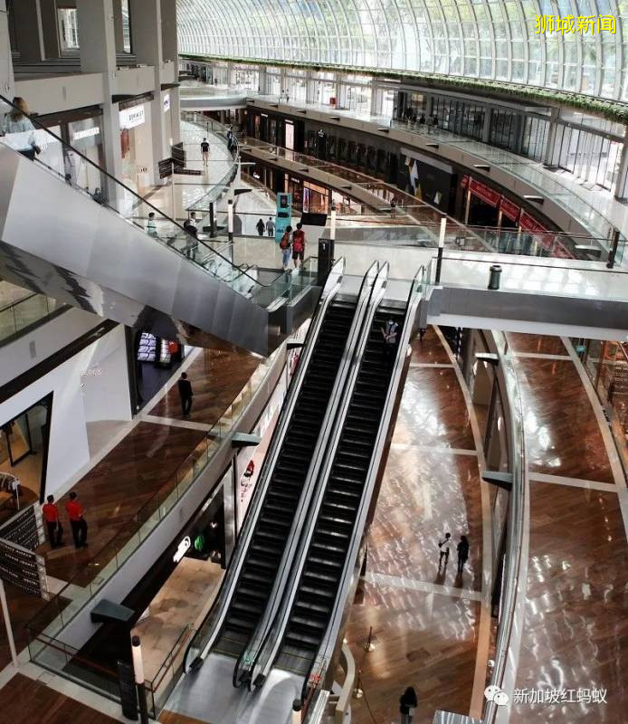 新加坡2020年第一季旅游业成绩单　是一部惊悚片