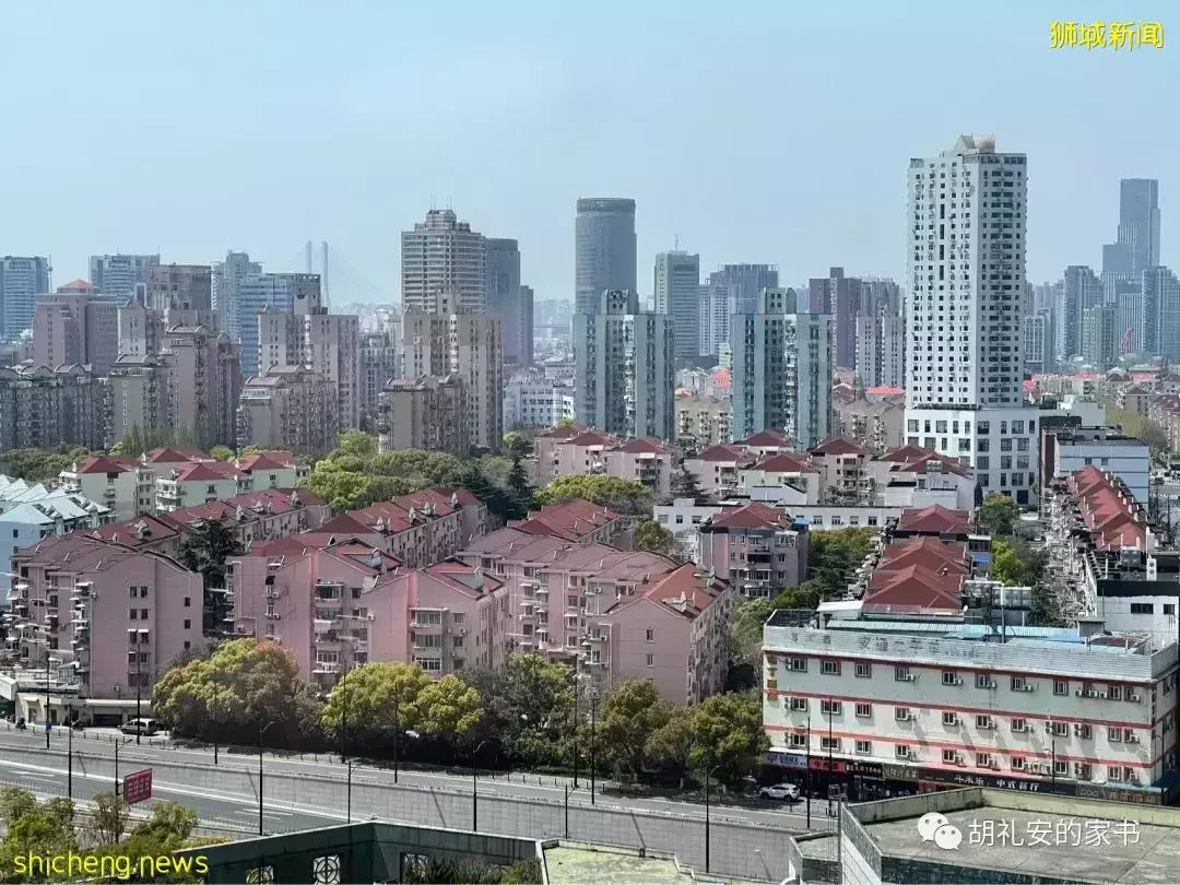 “从新加坡回到上海,封锁一再延长,我被卷入了这场前所未有的大事件”