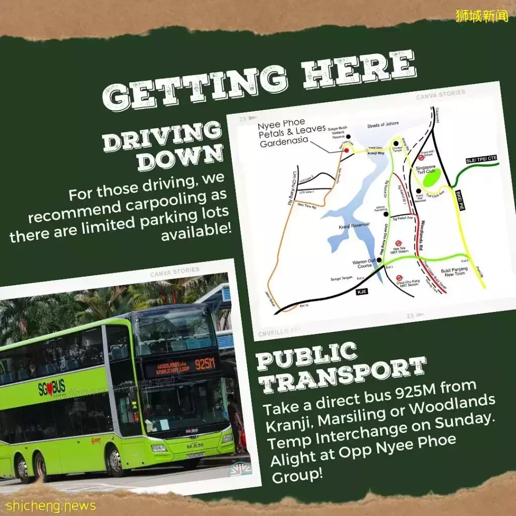 超治愈The Local Farm农夫市集终于回归啦!本地有机农产品、集市现场制作零食超好逛