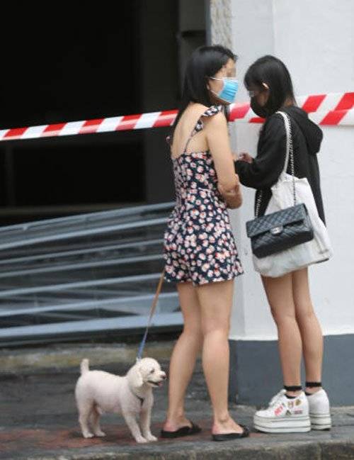 ◤寶馬撞店◢ 年輕有爲 令人惋惜 5死者 皆爲白領階級