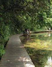 【鳥瞰新加坡】花園城市 5個最美的新加坡公園