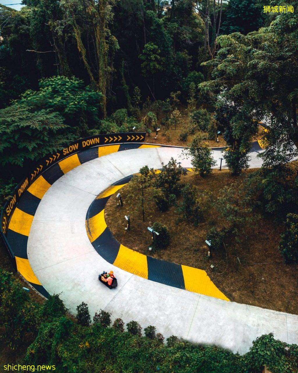 不一樣的賽車😎 聖淘沙天際滑車“Skyline Luge”一次只要S$7.50💥 乘坐高空吊椅登山一路狂飙