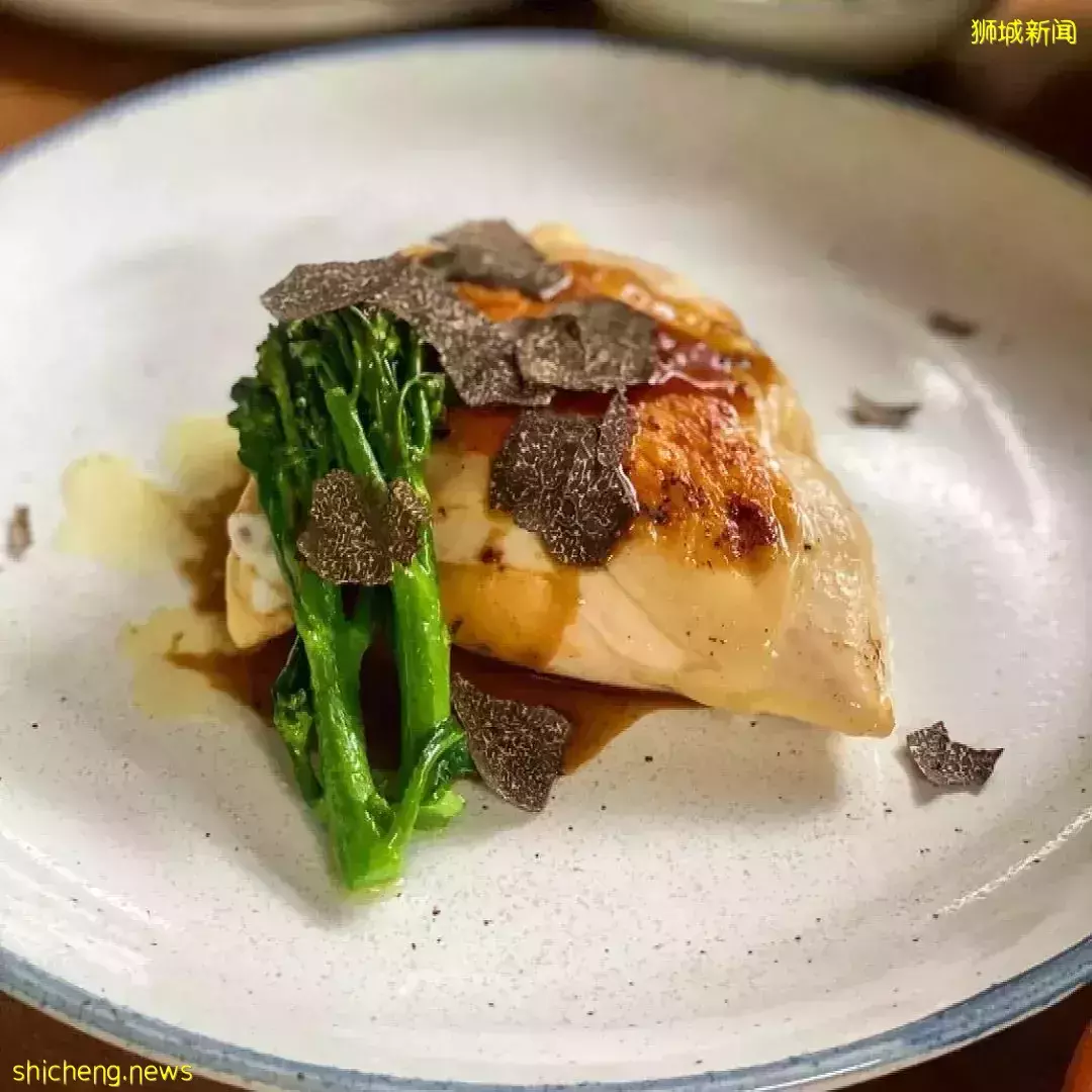 植物園開啓“聖誕遊園之旅”，還有這幾家高顔值餐廳等你來打卡