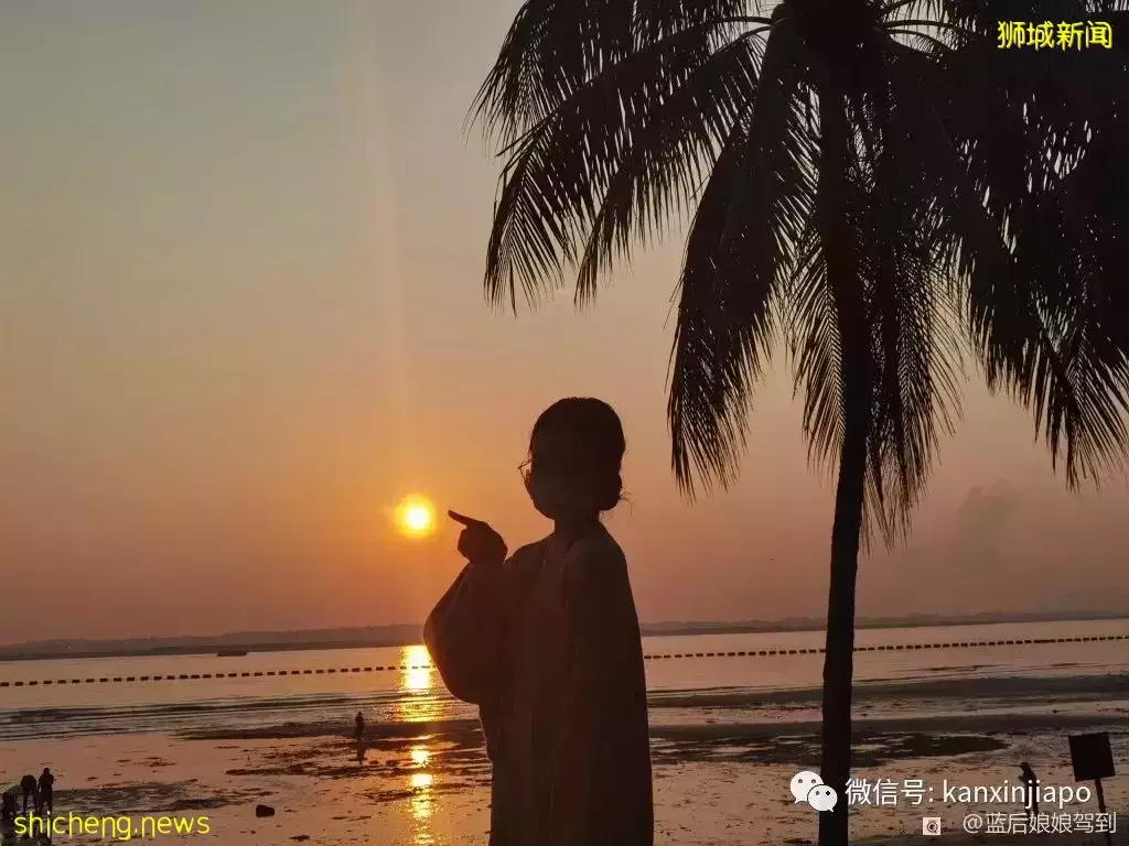 去樟宜海滩赶海吧,那里有最美的日出和从未见过的海洋生物