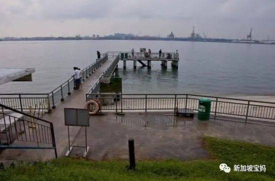 2021新加坡跨年烟火最强观看攻略，大家拿好不谢