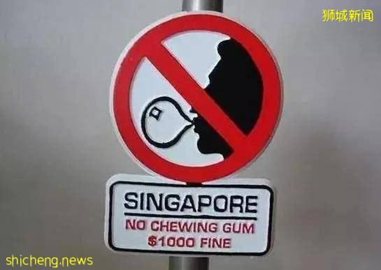 帶你看看真實的新加坡，絕對和你想像中不一樣