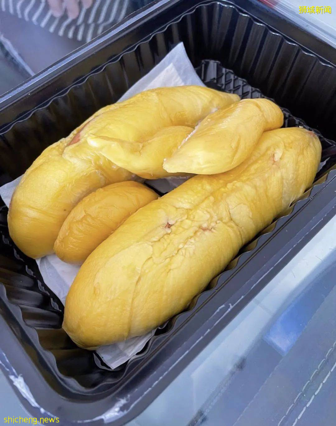 吐血整理！新加坡這20家榴梿太香了！S$11起