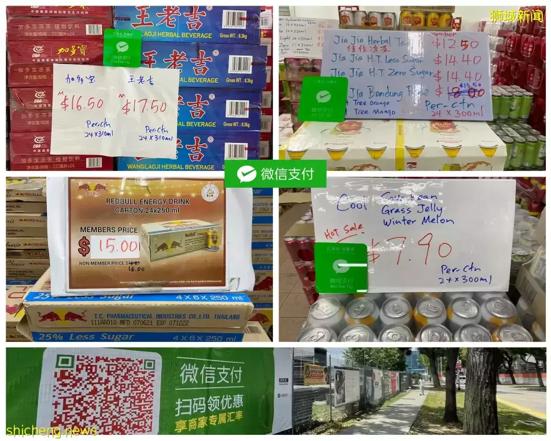 【周末去哪】$158新航往返机票!LV免费展、鸟园露营、$15高尔夫