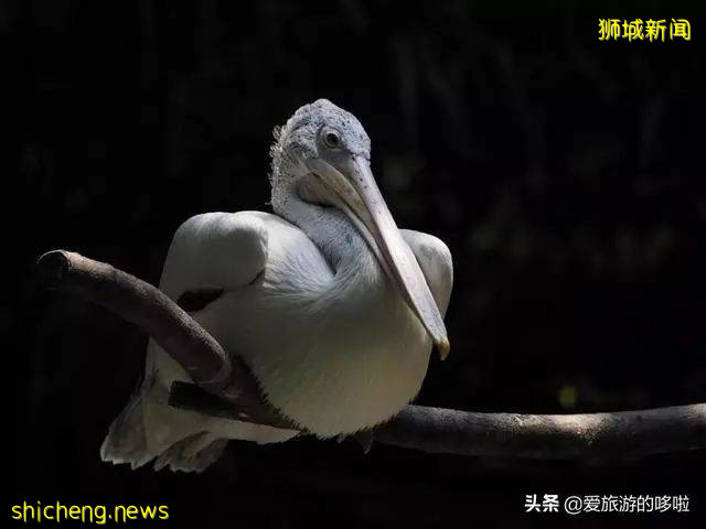 值得去看：新加坡，還能這樣玩