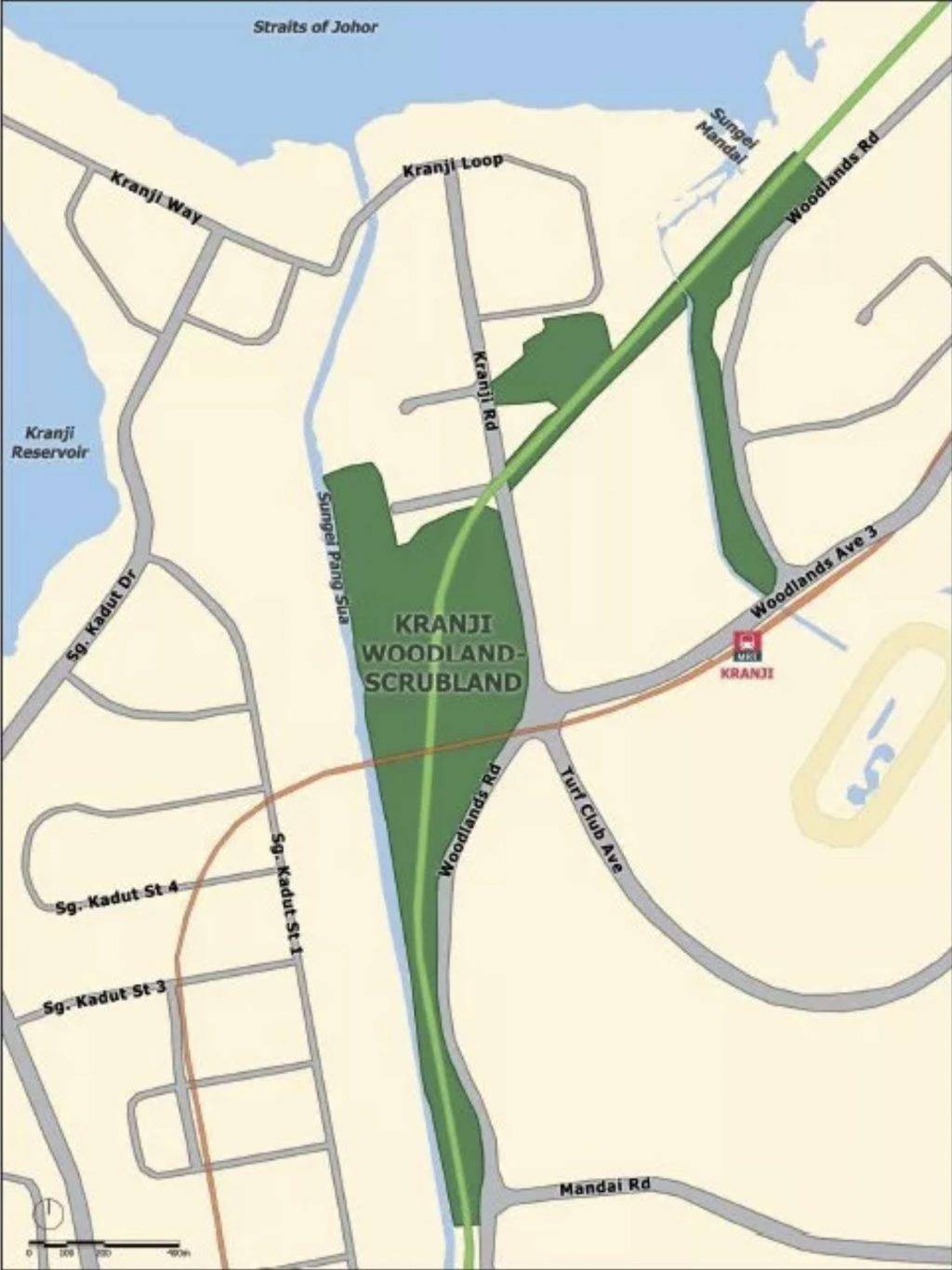 Kranji附近一片原始森林突然被清空開發！本地自然愛好者們表示十分震驚，可惜了