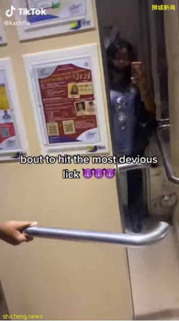 偷竊挑戰 殺到獅城 少女拆電梯扶手拍片炫耀