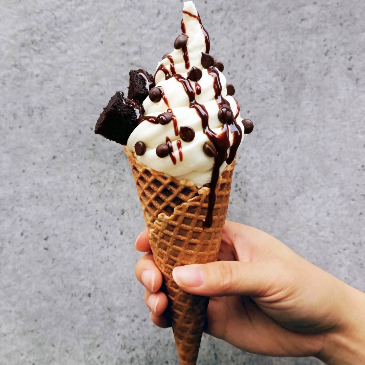 最新甜点天堂🎊 新加坡知名芝士蛋糕品牌Cat& the Fiddle开设首家咖啡厅👏推出独家甜点,只有这里吃得到