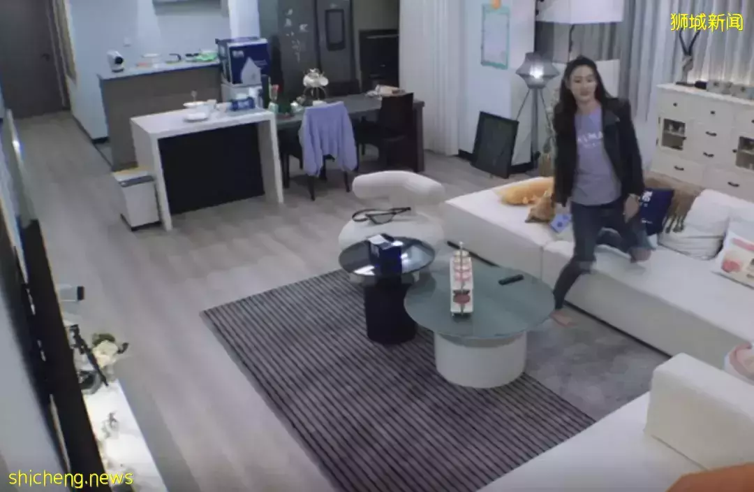 全網熱議！吳尊送娃去中國上學，張柏芝離開坡回上海定居！新加坡不香了