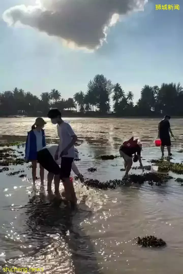 周末时光—魔鬼岛赶海
