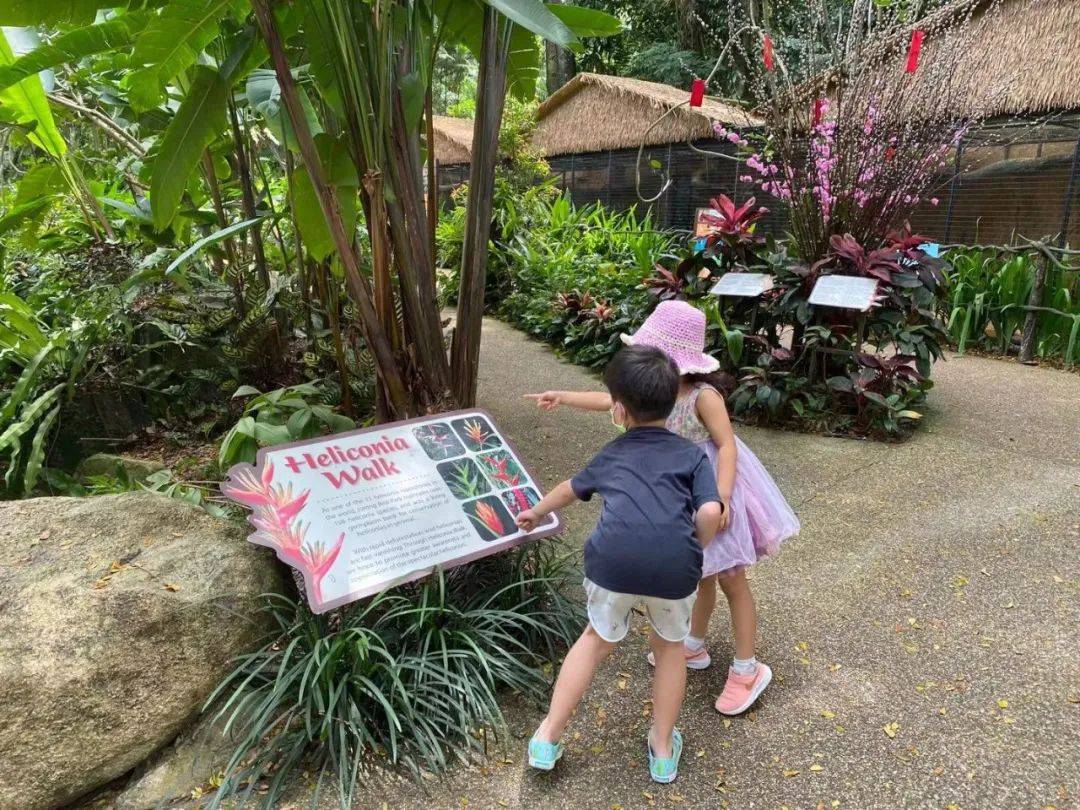 免費送票!帶倆娃嗨翻亞洲最大飛禽園,400多種5000多只鳥,一路驚喜不斷