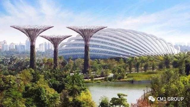 为什么移民花园城市新加坡