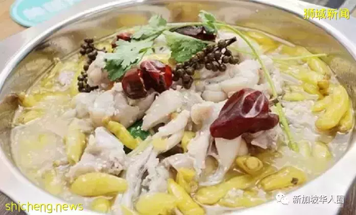 没任何曝光,已被新加坡妹纸挤爆的音乐餐厅,我愿意在这待到凌晨三点