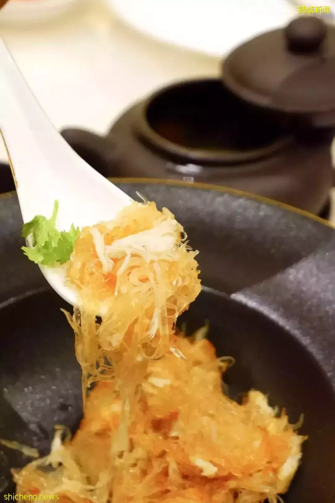 18年大廚掌勺!新加坡這家粵菜私廚,滿滿的家鄉味道