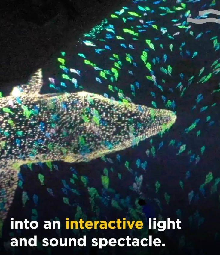 聖淘沙海灘“奇幻燈舞”秀回來了！絢麗缤紛的夢幻世界入場免費