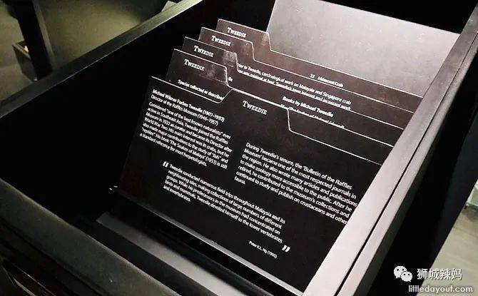 恐龍化石、抹香鯨骨架、初代巨星阿明……100W+動植物標本竟然藏在新加坡這個地方