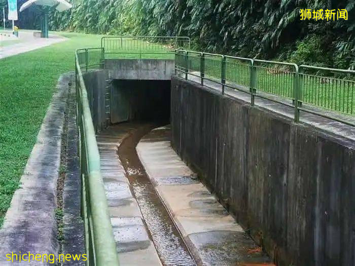 新加坡如果遇上“鄭州暴雨”,你認爲能挺的過去嗎