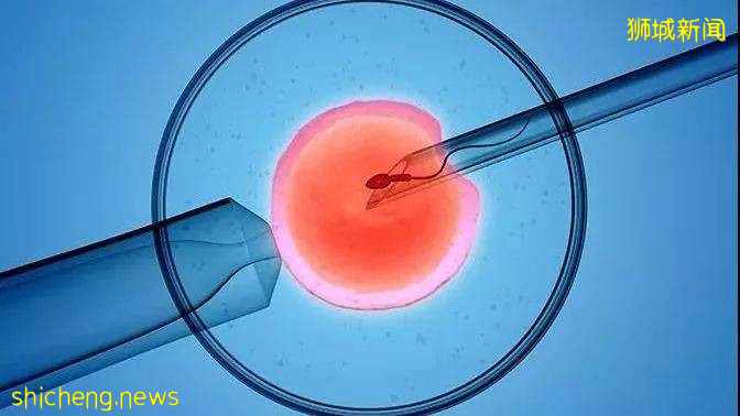 新加坡式的“共同富裕”，全世界都羨慕