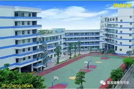 新加坡中小學總數離奇減少——18所中小學合並，你聽說了嗎