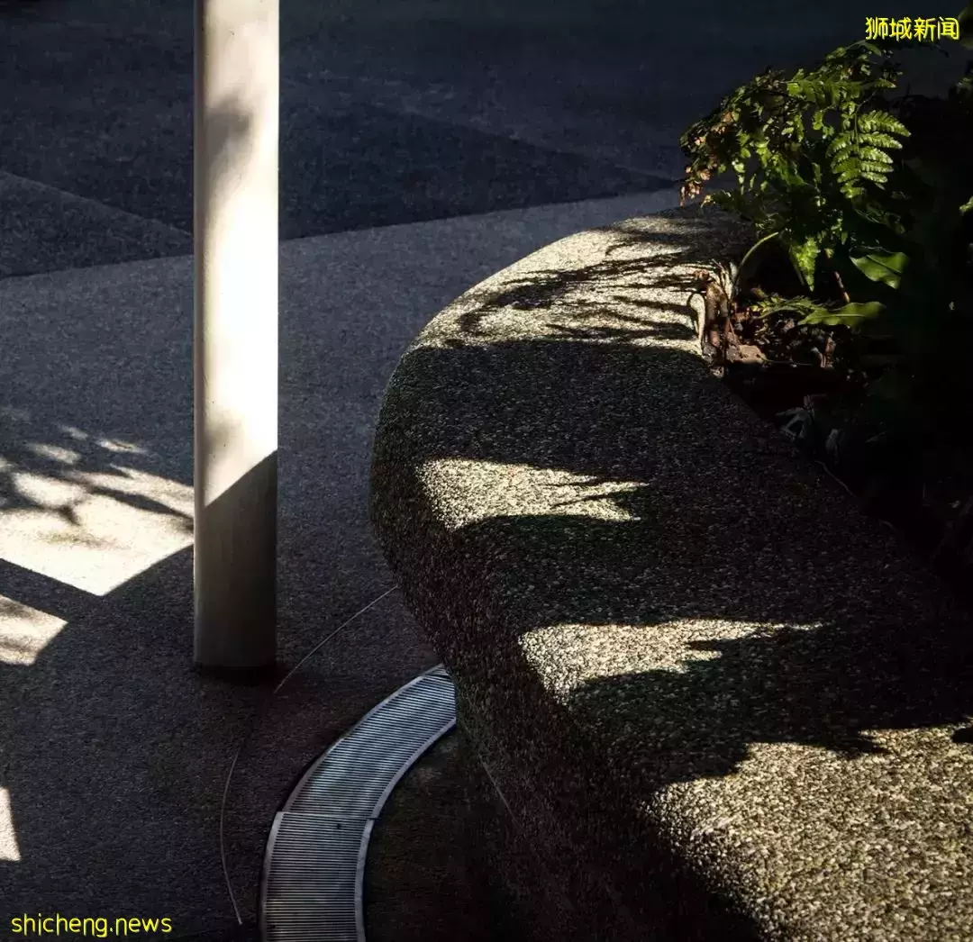 新加坡李光前自然曆史博物館 / Tierra Design (S) Pte Ltd