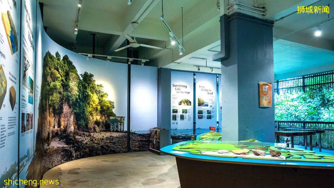 新加坡線上路演展商速遞:一站式度假島新加坡聖淘沙