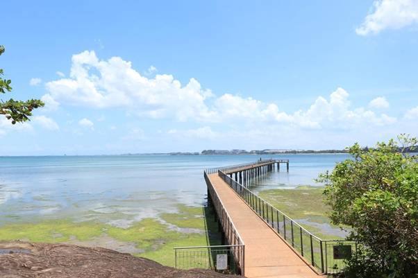 周末宅家太無聊？新加坡的這些熱門露營地你一定得知道