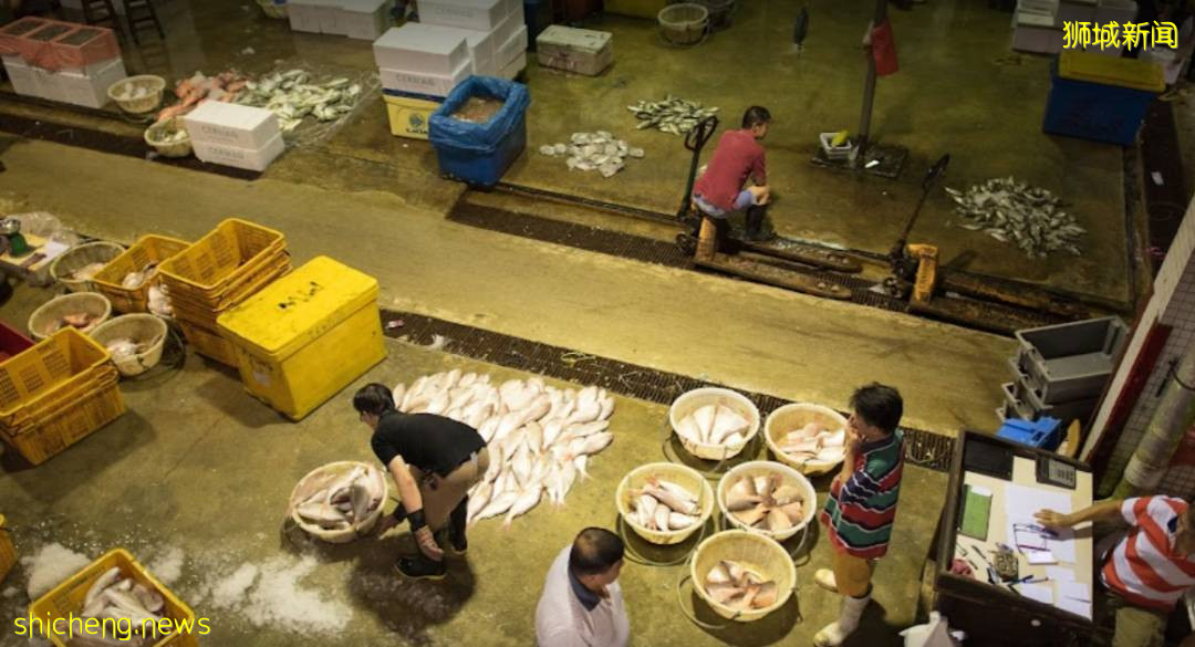 又1例死亡！超1萬人居家隔離！新加坡12歲以下兒童和短期准證疫苗接種提上議程