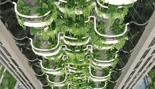 3亿新币买下乌节路整栋20层公寓买家浮出水面,原来是这对父子