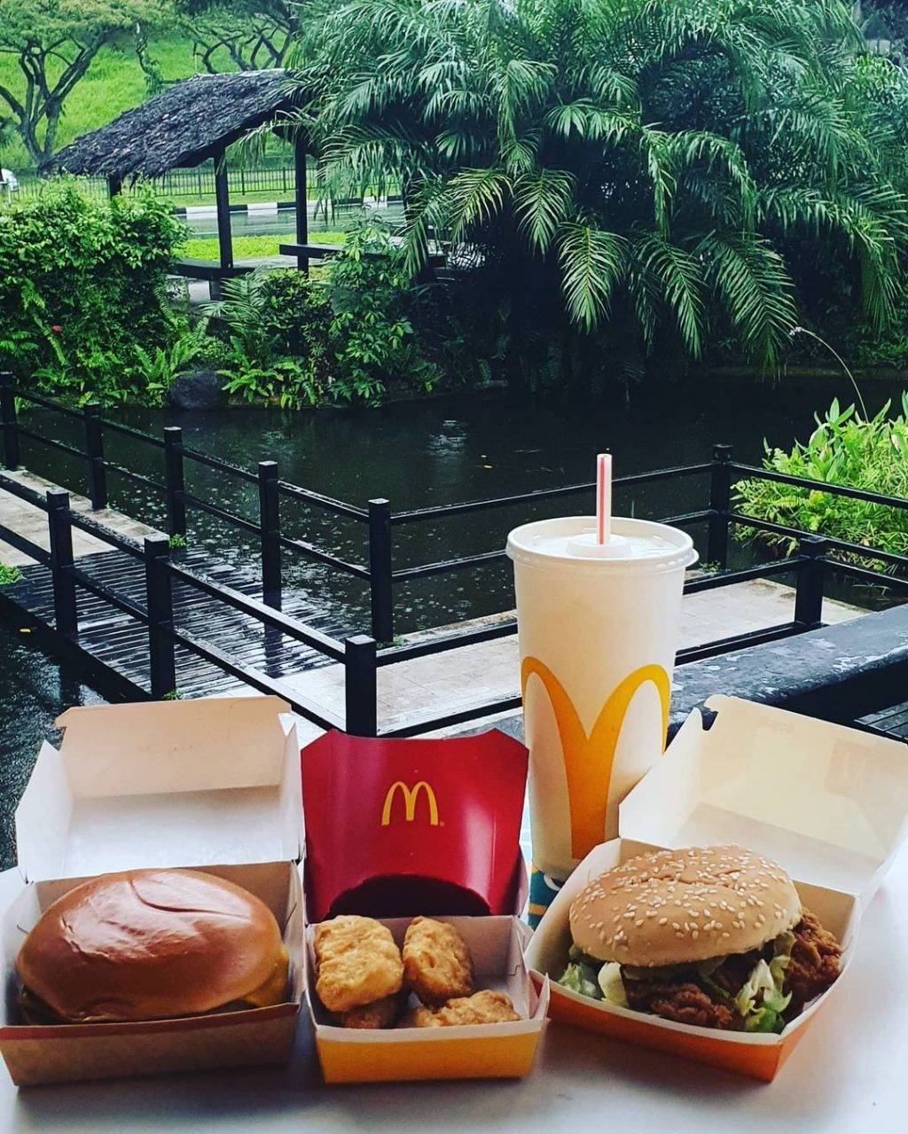 本地最美麥當勞“Queensway”打卡📷繁盛樹叢+綠蔭植物+靜谧池塘、靓"綠"風景線🌳